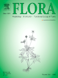 Elsevier
